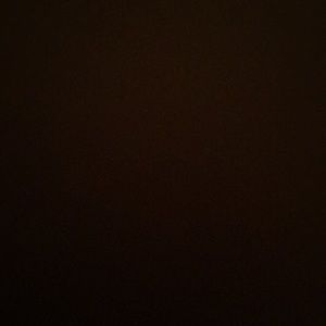 Meet your Posher, Bella